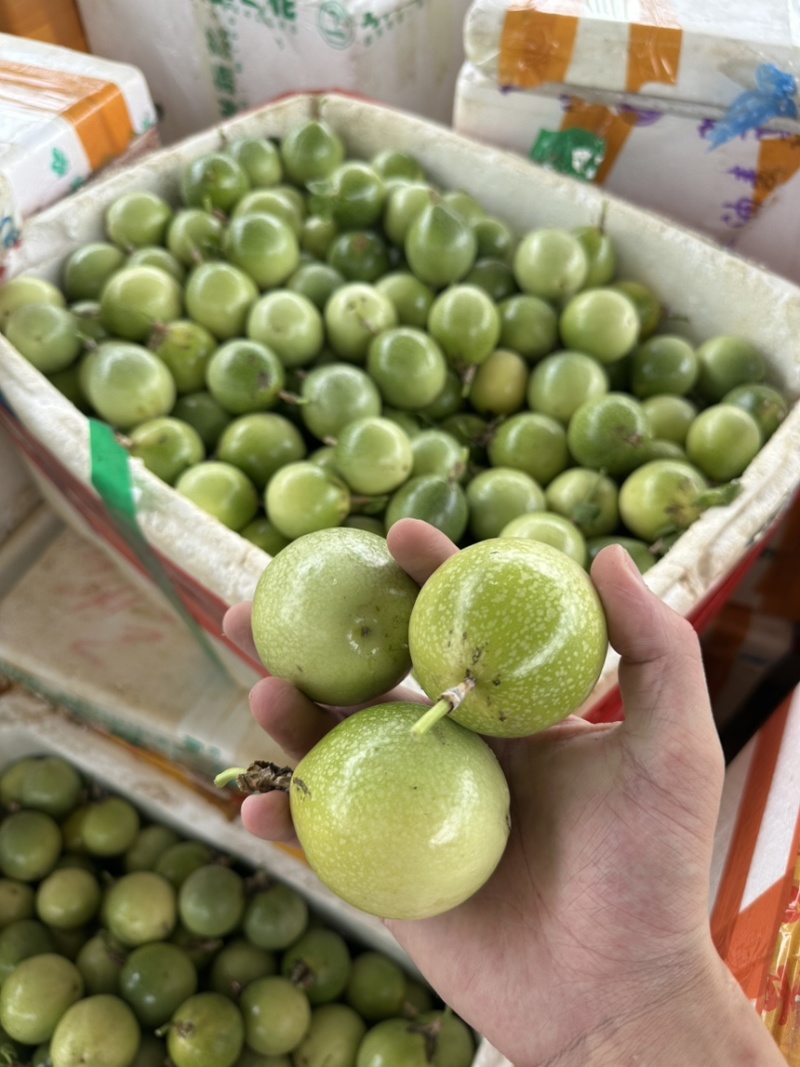 北海百香果大量供应品质甜度都可以