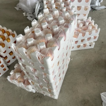 陕西蟠桃毛桃油桃黄桃一件代发对接各大电商平台社区团购