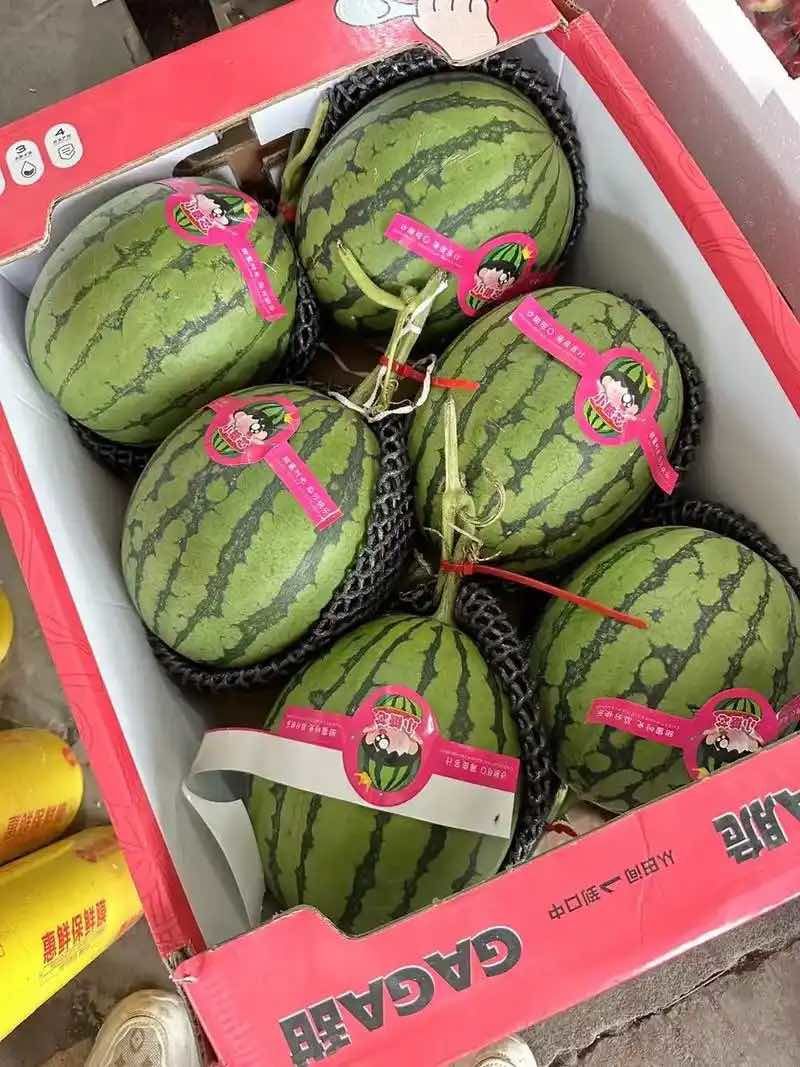 小糖丸西瓜，批发，产地直发，价格不高，质量有保障，欢迎联系