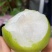 苍溪翠冠梨大量上市欢迎👏👏👏👏👏采购