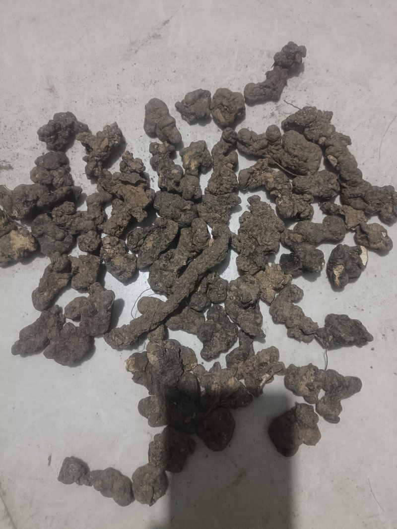 产地陕西高含量猪苓
