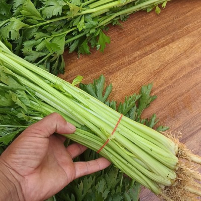 芹菜