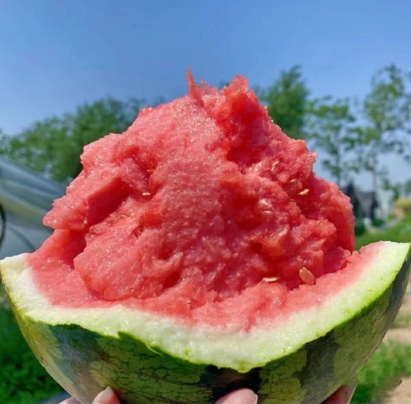 麒麟西瓜，量大从优，供应各大商超，全国发货