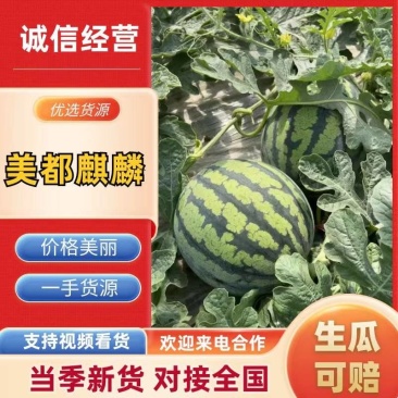 盐城美都麒麟西瓜大量有货基地直供品质优可视频看货