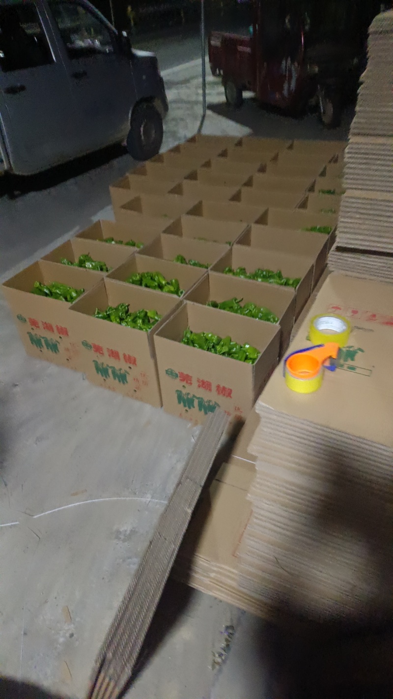 精品芜湖椒