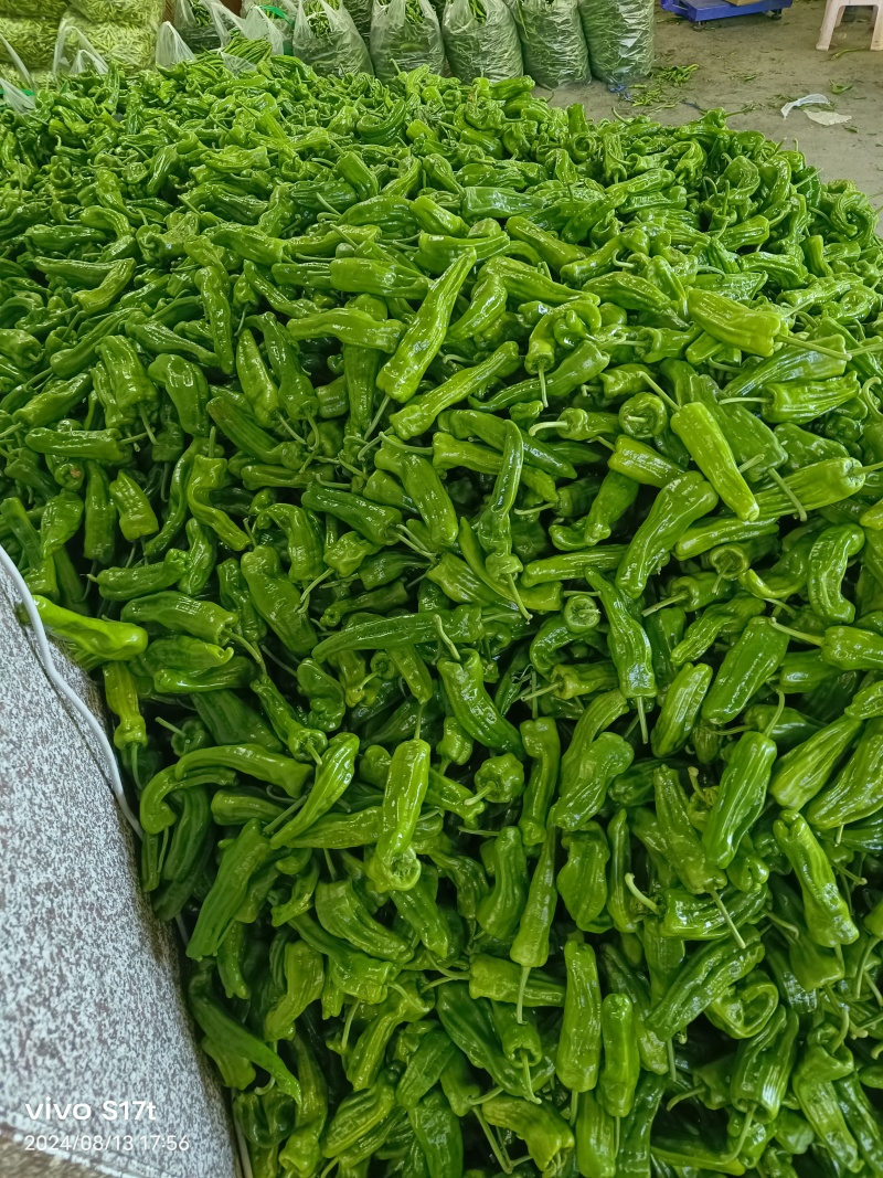 精品芜湖椒