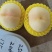 中桃五