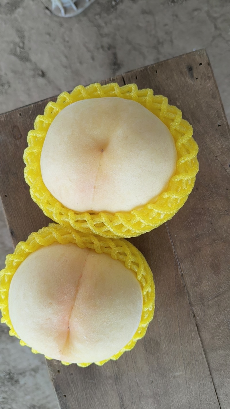 中桃五