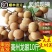 【顺丰包邮】高州新鲜石硖龙眼现摘现发清甜多汁肉厚饱满当季水果