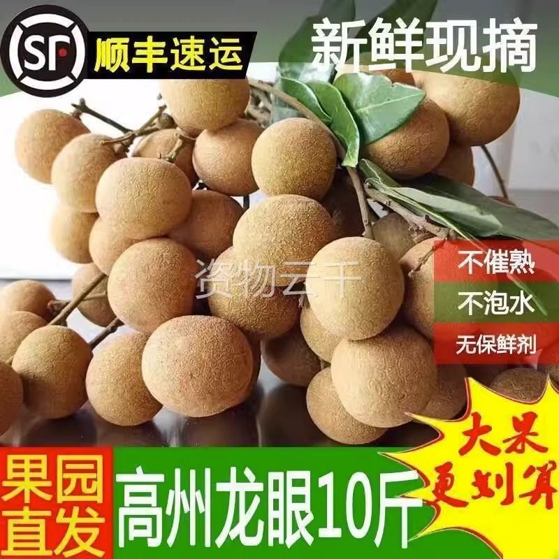 【顺丰包邮】高州新鲜石硖龙眼现摘现发清甜多汁肉厚饱满当季水果