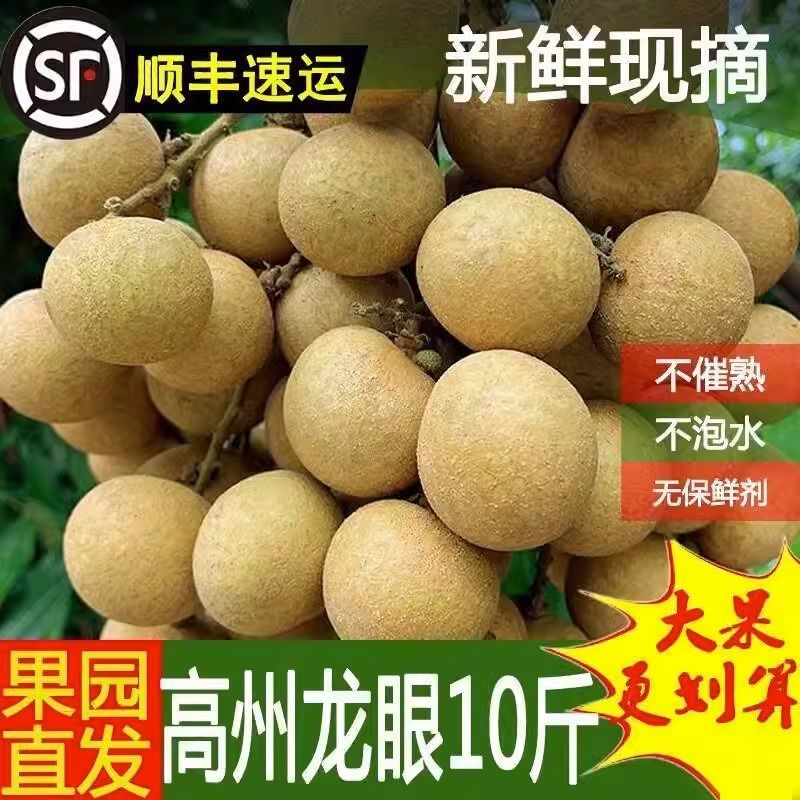 【顺丰包邮】高州新鲜石硖龙眼现摘现发清甜多汁肉厚饱满当季水果