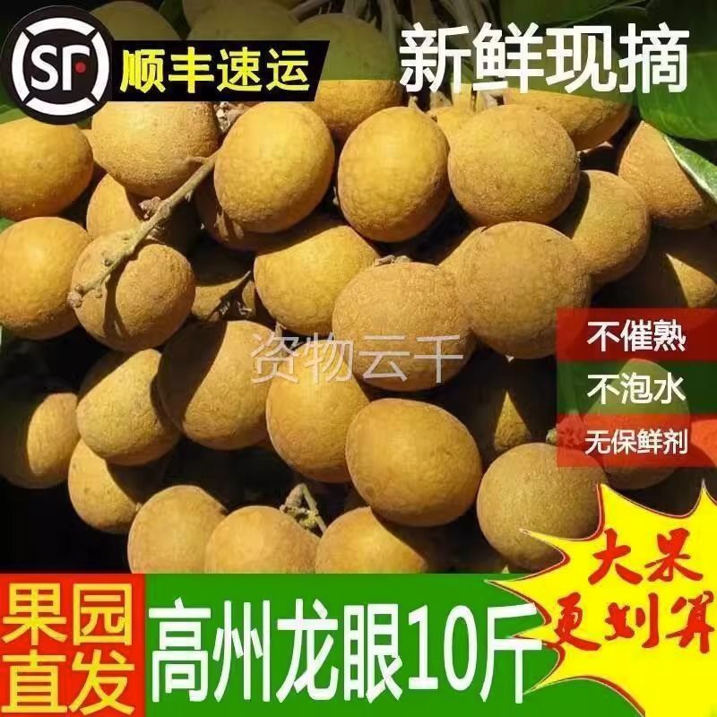 【顺丰包邮】高州新鲜石硖龙眼现摘现发清甜多汁肉厚饱满当季水果