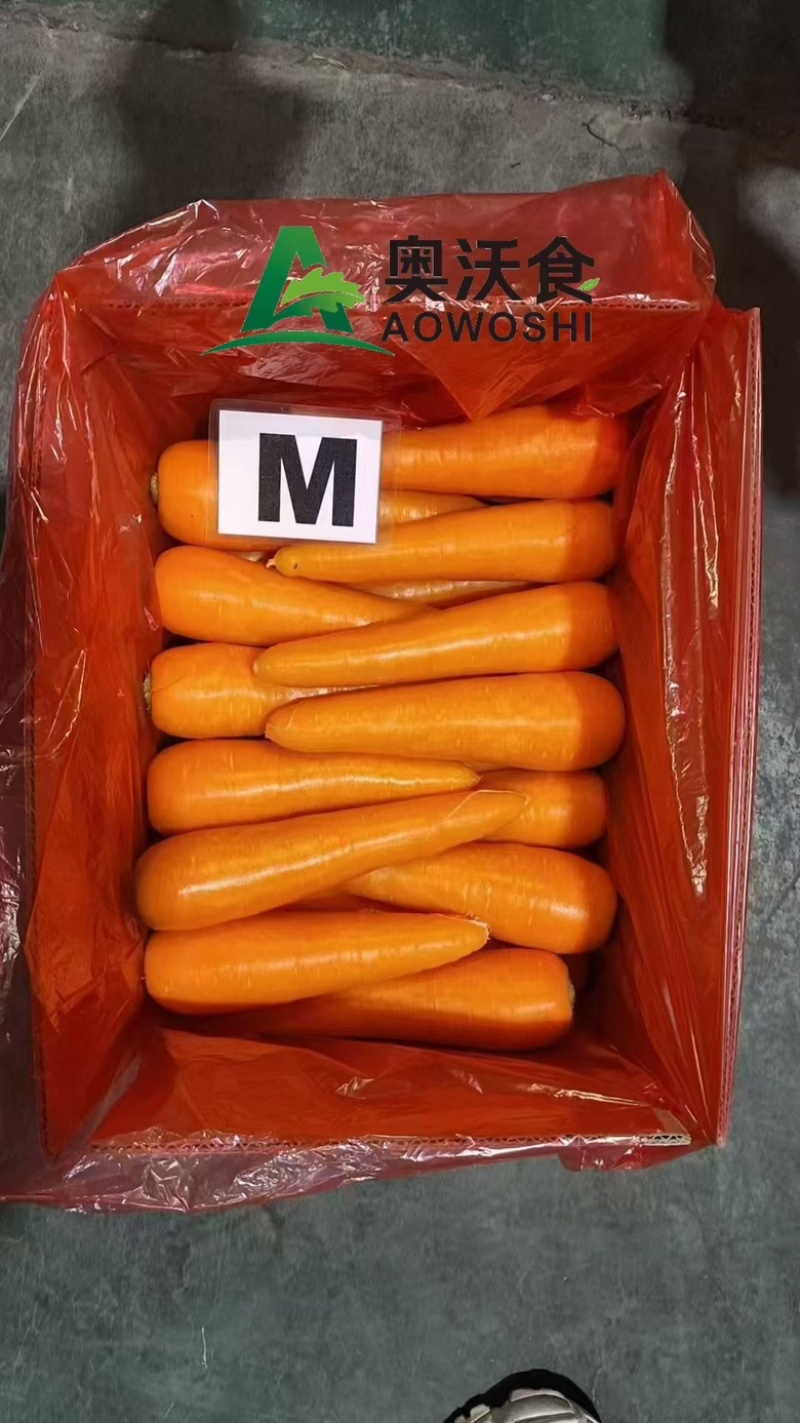 胡萝卜各种品质规格都有
