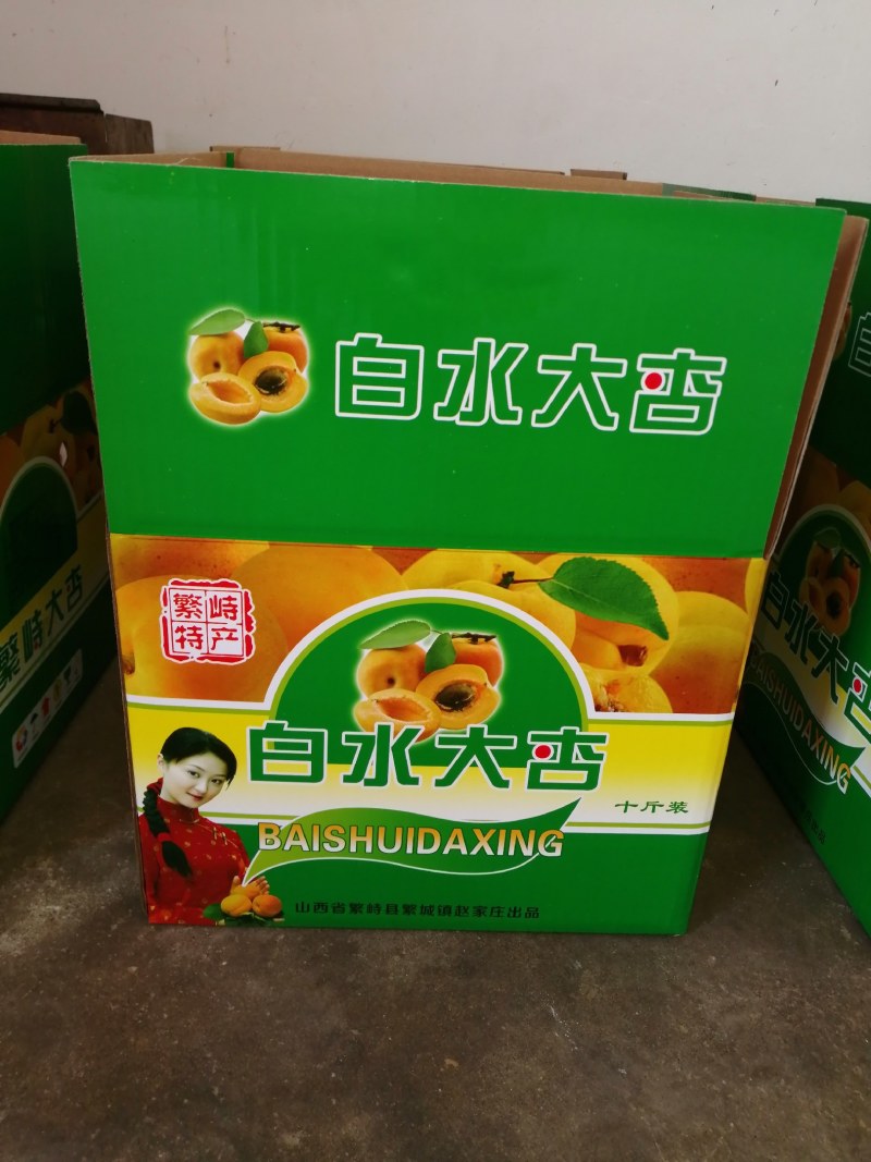 山西省繁峙县白水大杏