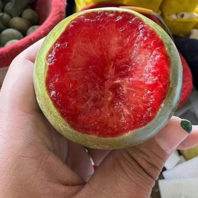 新疆味帝恐龙蛋红心李子