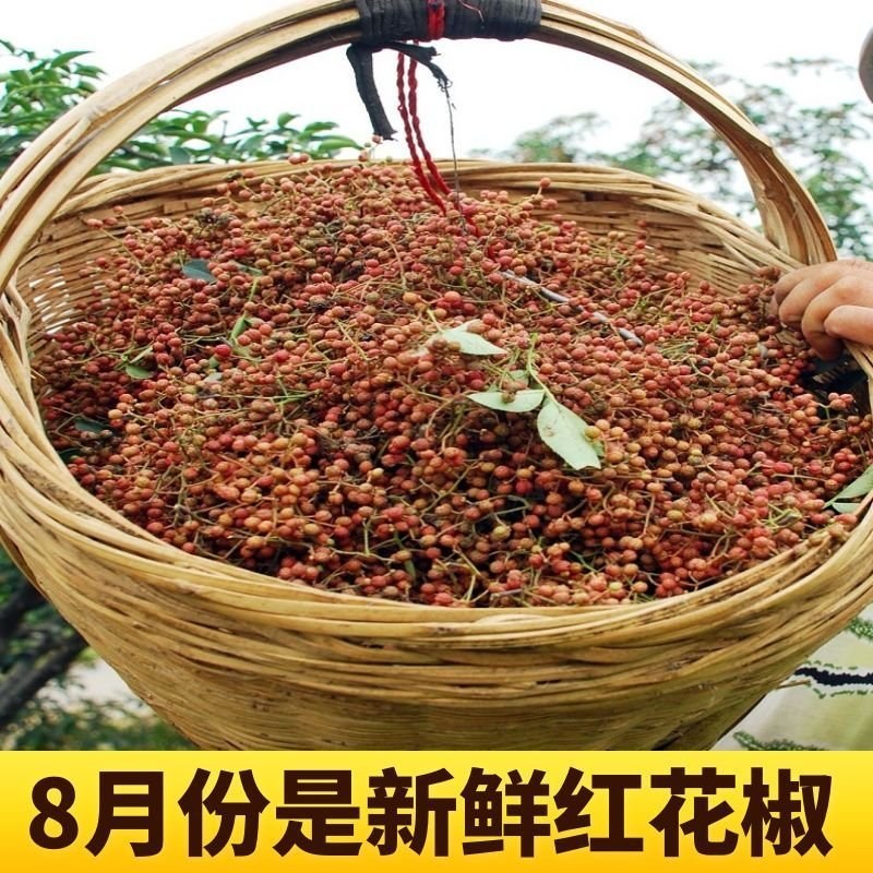 自家山上花椒
