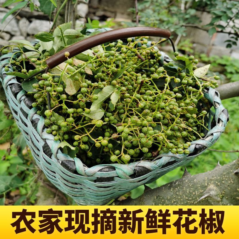 自家山上花椒