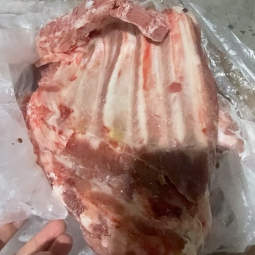 肥猪去颈前排