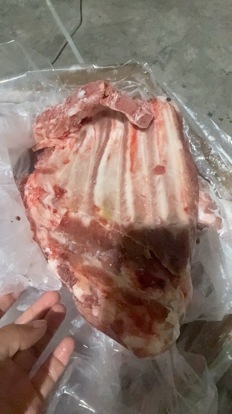 肥猪去颈前排