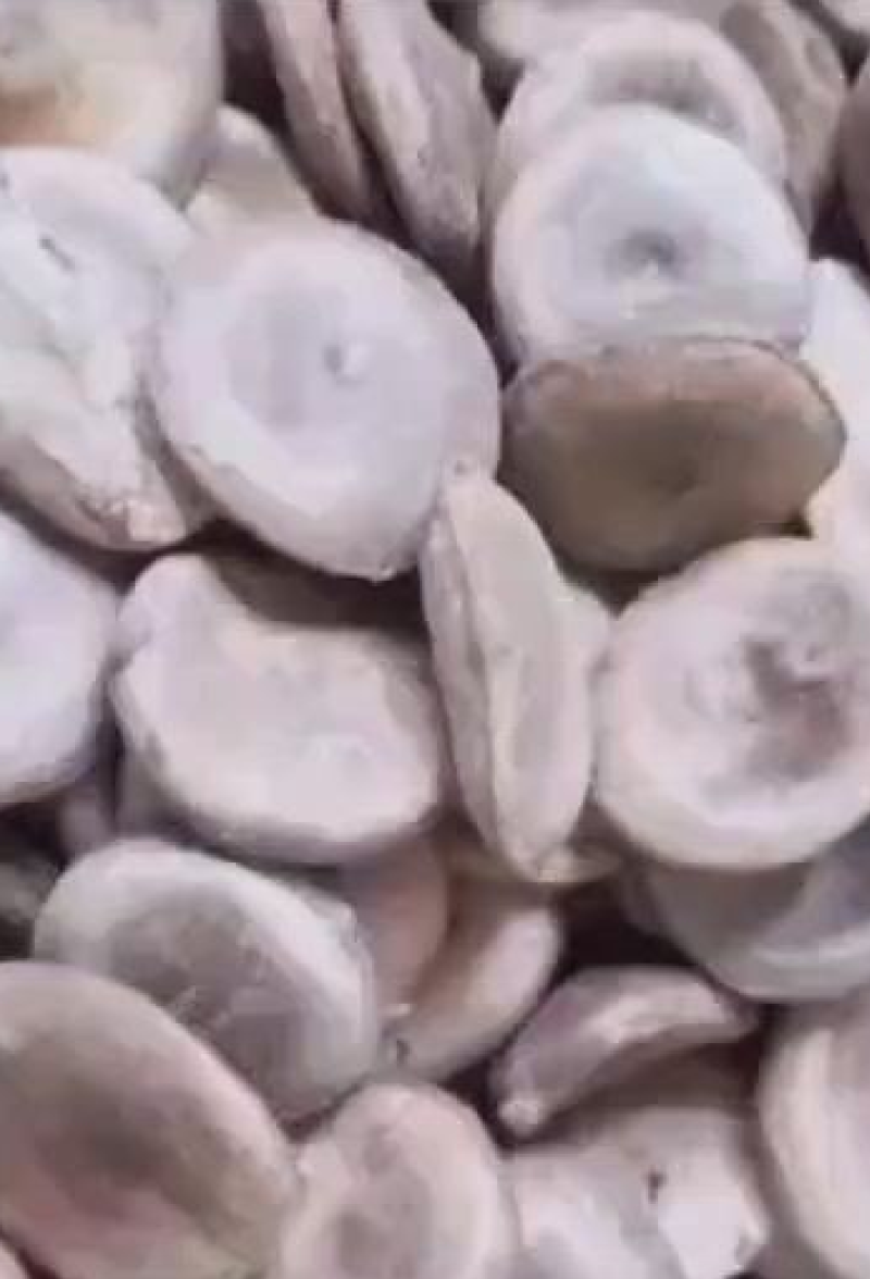 马前子有两种有一个白马前有一个绿马前有需要的老板看好下单