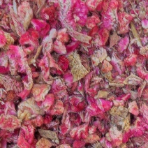 鸡冠花各种中药材名贵药材冷背药材批发有需一个是一斤
