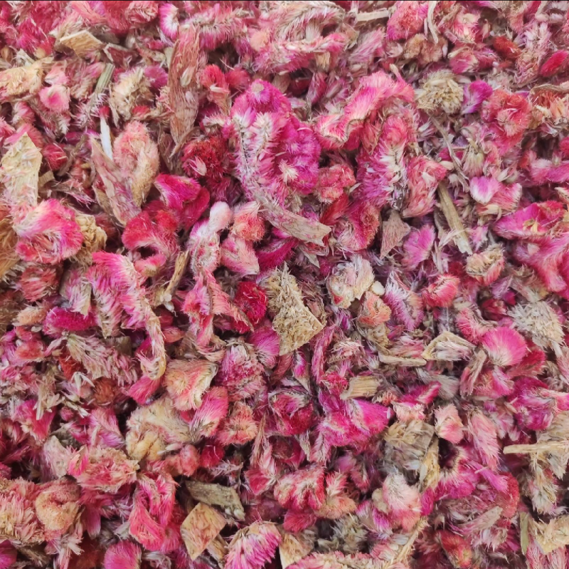 鸡冠花各种中药材名贵药材冷背药材批发有需一个是一斤