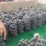 自家冷棚夏黑葡萄基地，乒乓球葡萄可视频看货一手货源口感甜