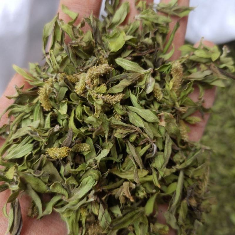 柳树芽柳芽