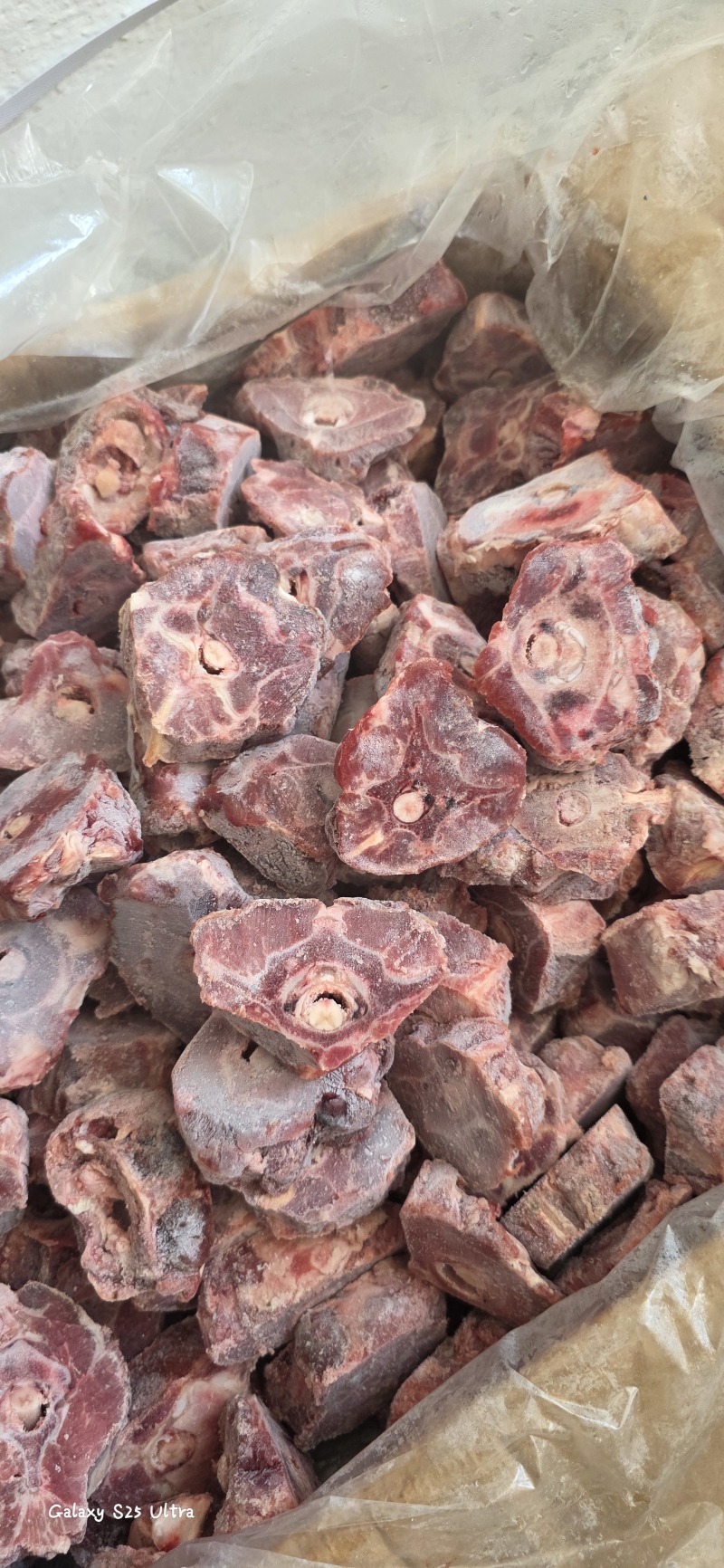 多肉羊脖骨