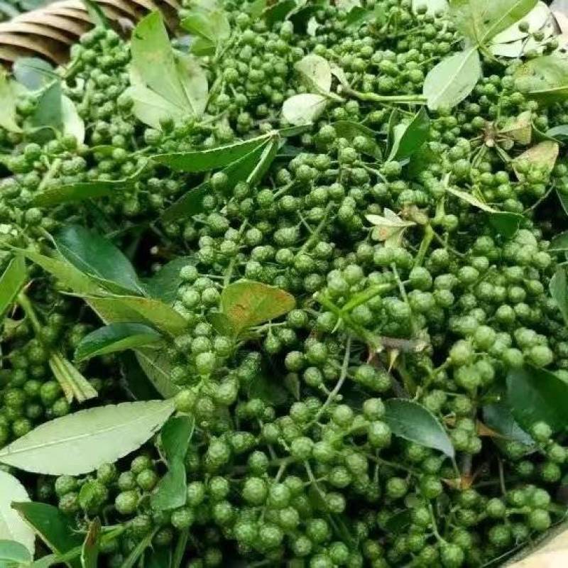 云南青花椒大量有货，产地一手货源，欢迎新老客户前来合作