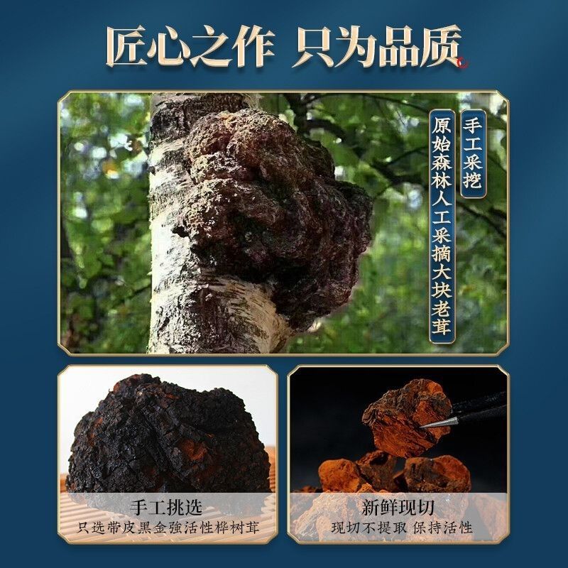 桦树茸黑金选货颗粒原色含量好1斤包邮