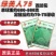 绿美人65天75天85天早熟中熟晚熟青梗花椰菜一代杂交西