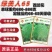 绿美人65天75天85天早熟中熟晚熟青梗花椰菜一代杂交西