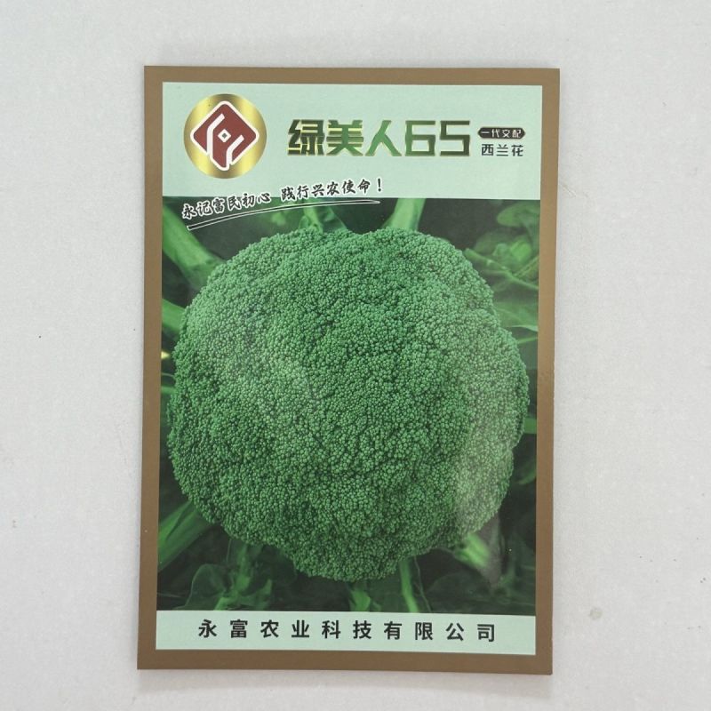 绿美人65天75天85天早熟中熟晚熟青梗花椰菜一代杂交西
