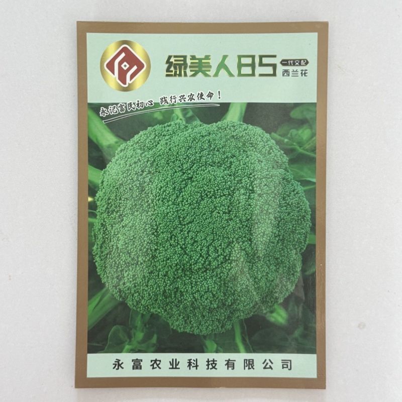 绿美人65天75天85天早熟中熟晚熟青梗花椰菜一代杂交西