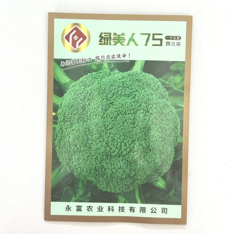 绿美人65天75天85天早熟中熟晚熟青梗花椰菜一代杂交西
