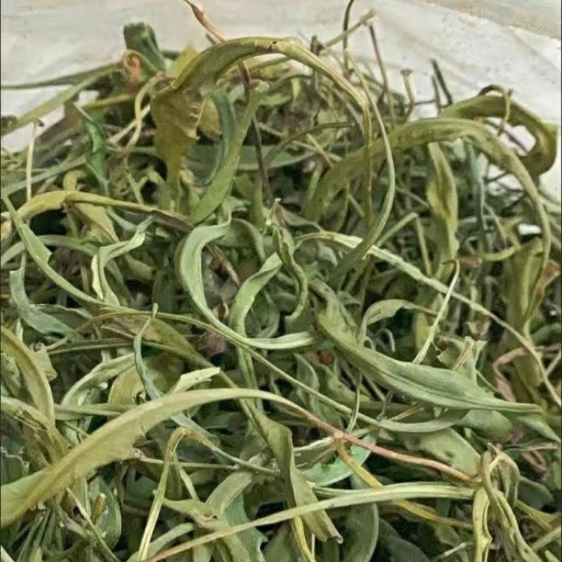 化石草精选野生化石草晒干高海拔中草药新货原生态新鲜纯