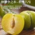 正宗六马蜂糖李