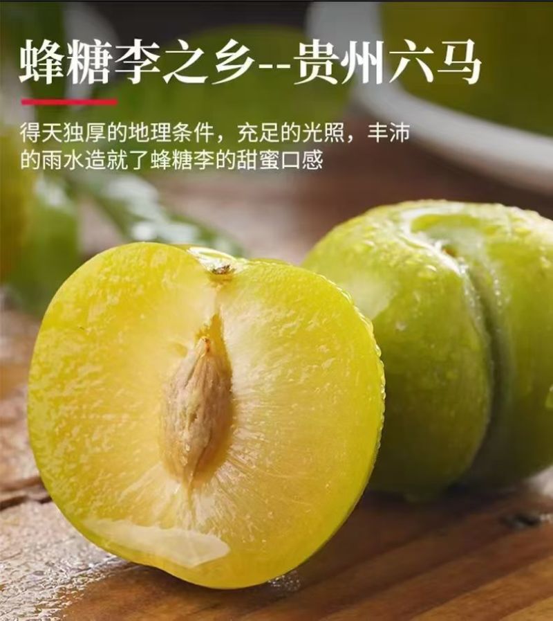 正宗六马蜂糖李