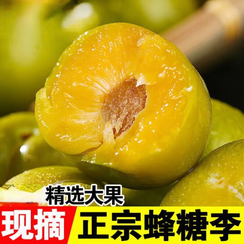 正宗六马蜂糖李