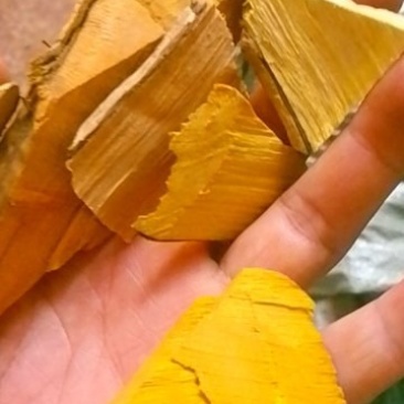 十大功劳野生山里货量大优惠批干货数量不多