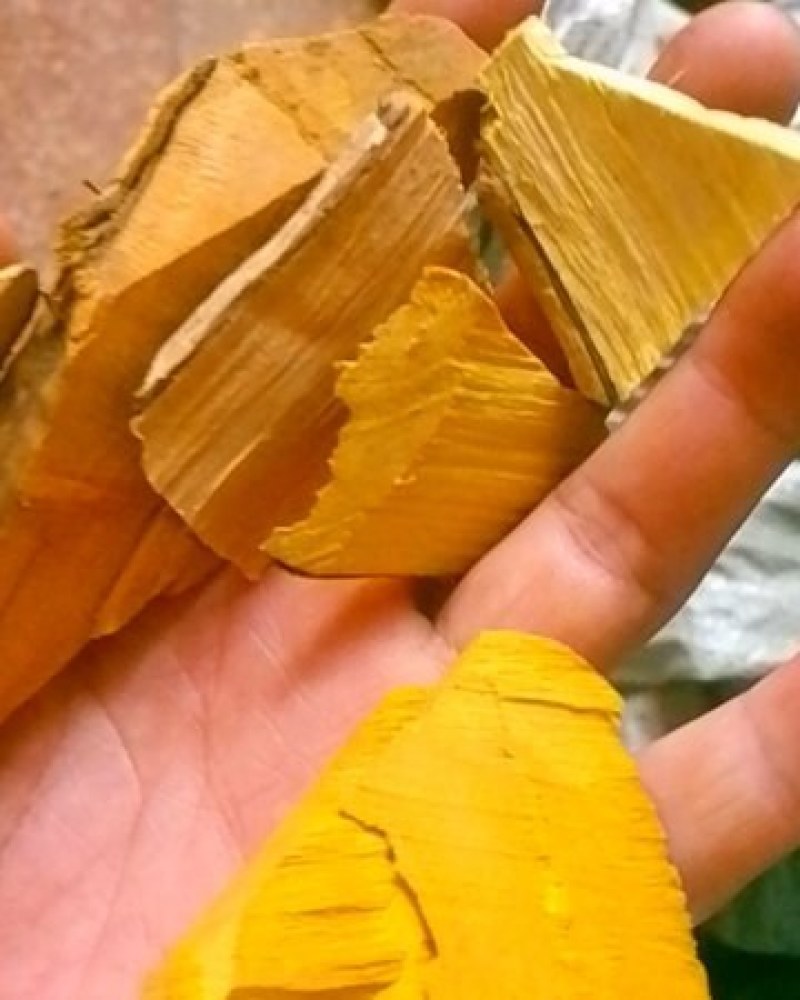 十大功劳野生山里货量大优惠批干货数量不多