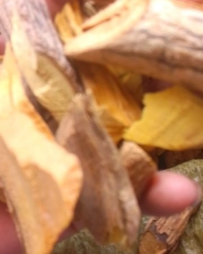 十大功劳野生山里货量大优惠批干货数量不多