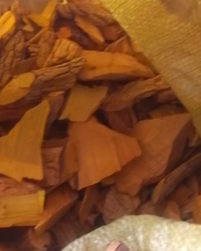 十大功劳野生山里货量大优惠批干货数量不多