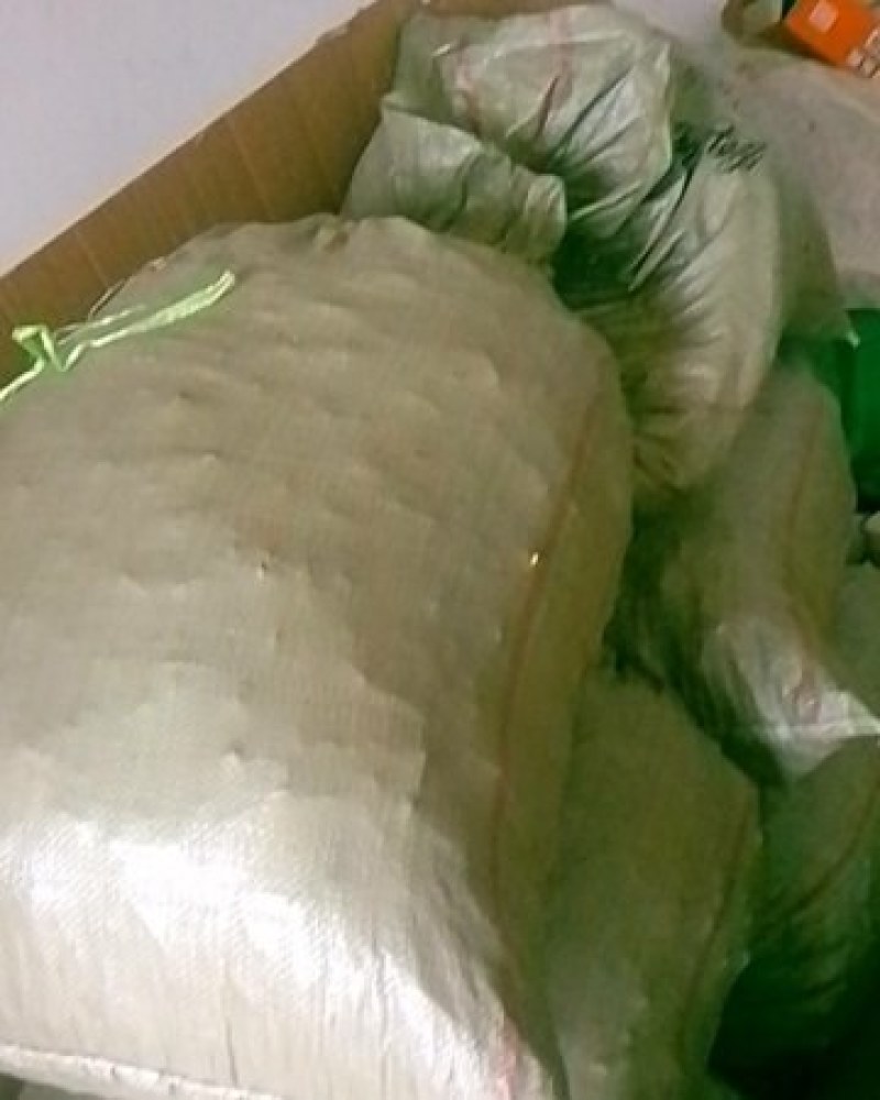 十大功劳野生山里货量大优惠批干货数量不多