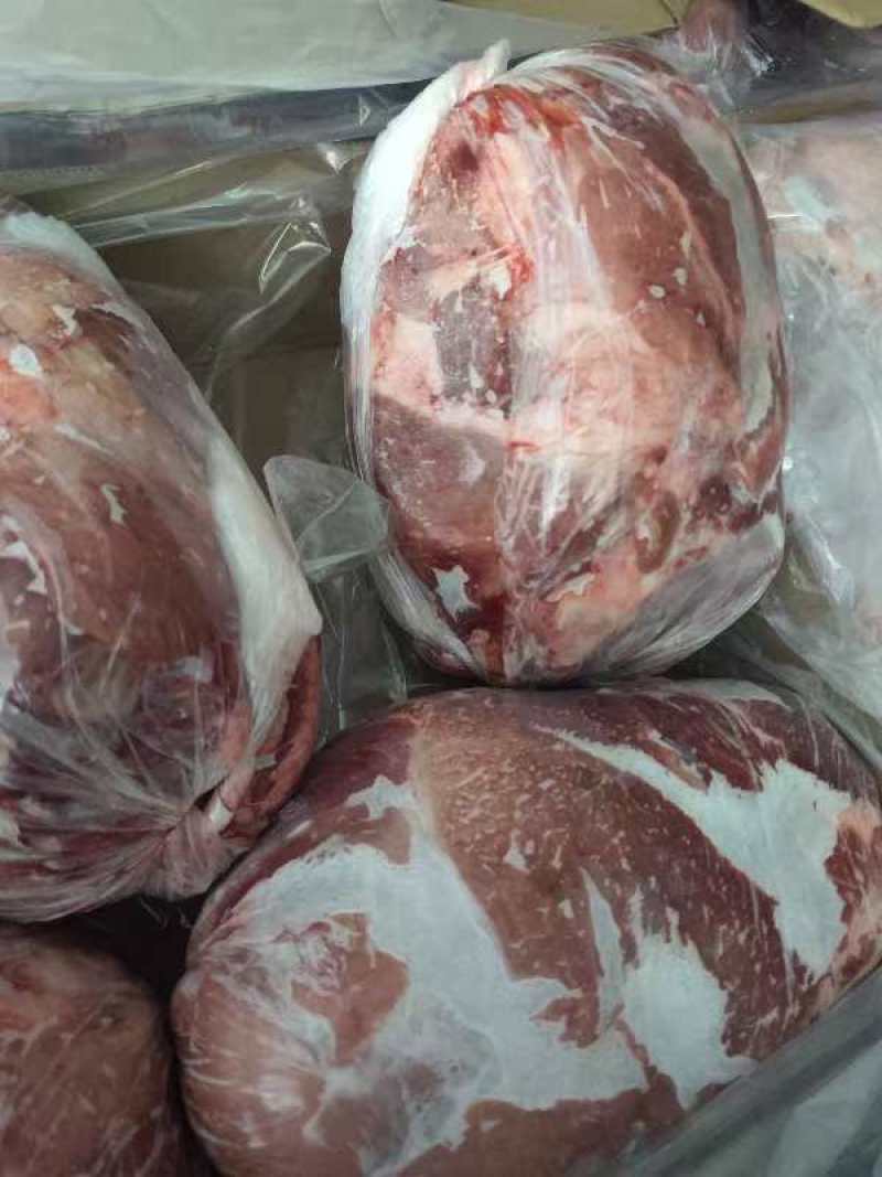 母猪二号卷