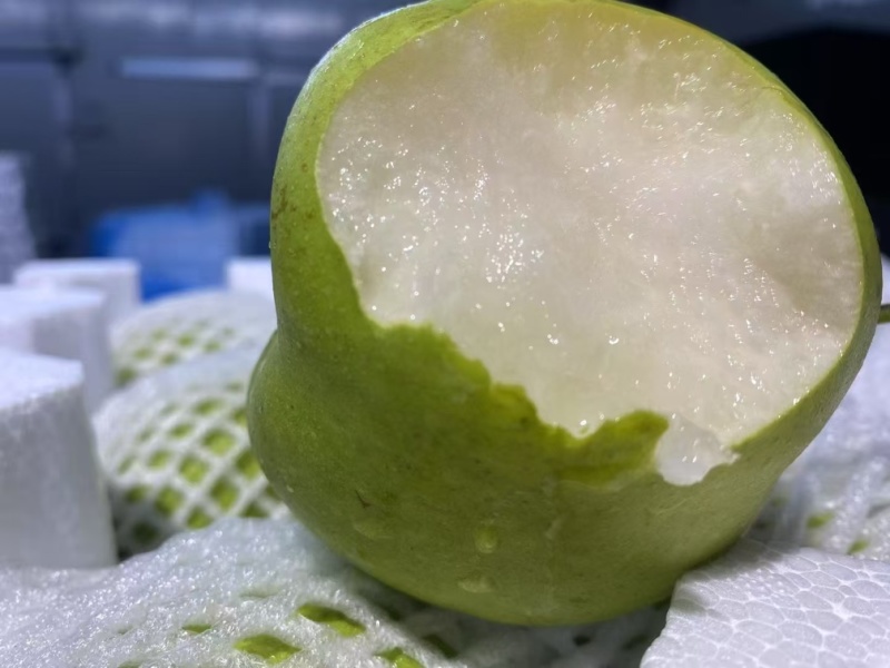 罗江翠冠梨