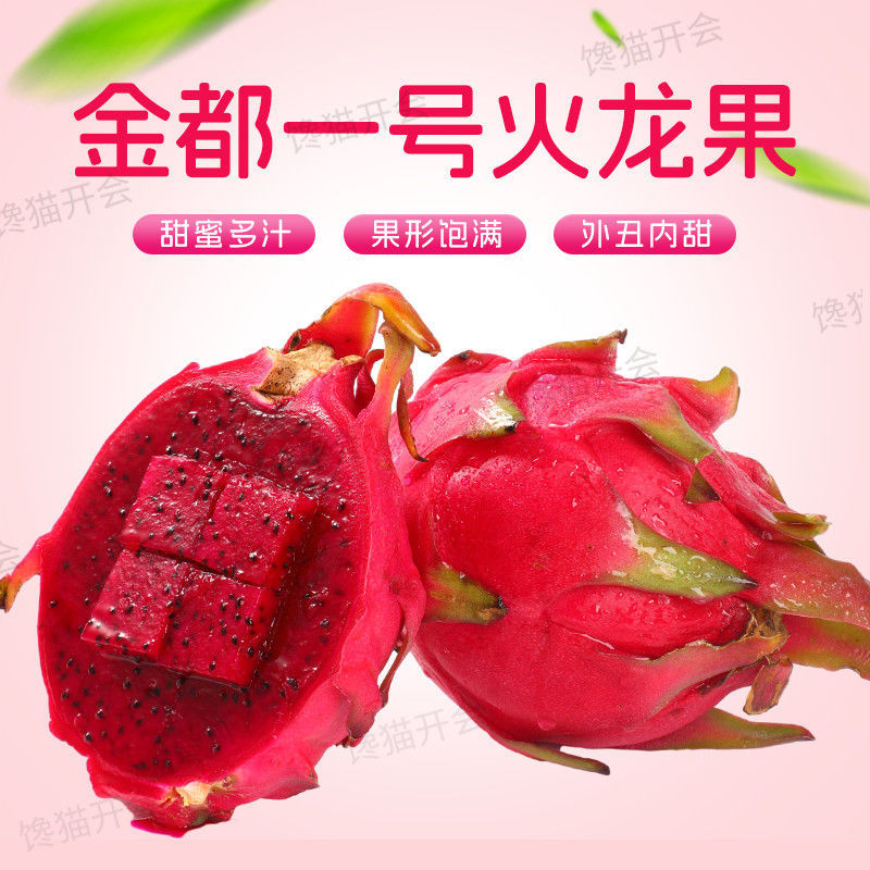 海南红心火龙果批发一件代发