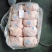 肥猪大肚20个左右