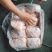 肥猪大肚20个左右